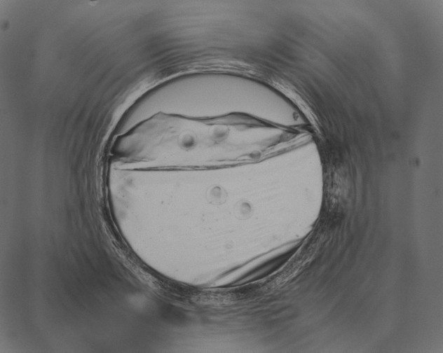 X0000087361083200705181145