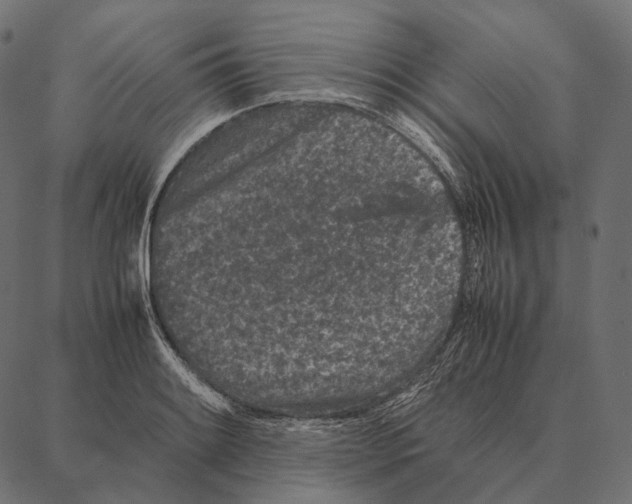 X0000087361084200705181145