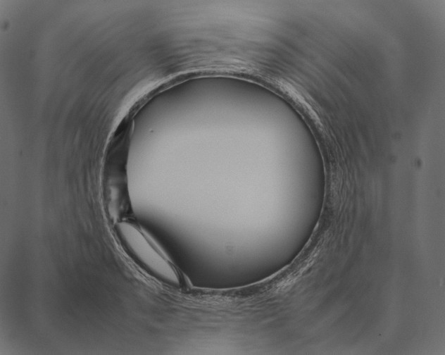 X0000087361085200705181145