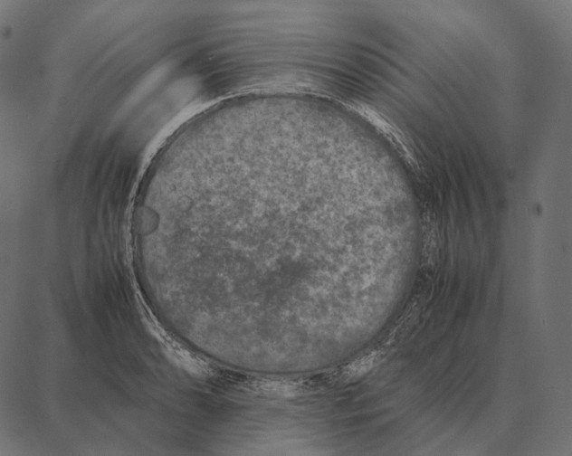 X0000087361086200705181145