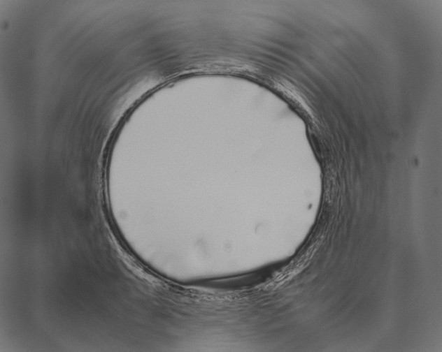 X0000087361087200705181145