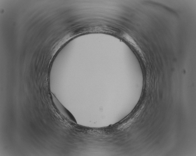 X0000087361089200705181145