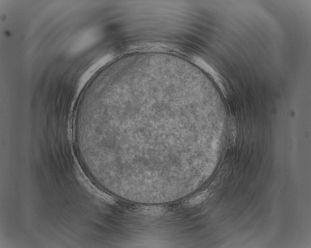 X0000087361090200705181145