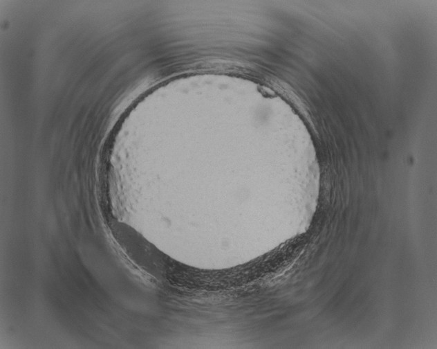 X0000087361091200705181145