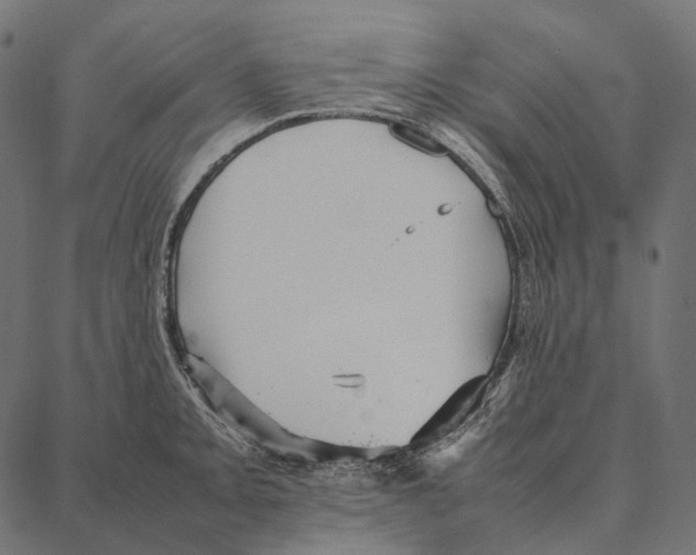 X0000087361093200705181145