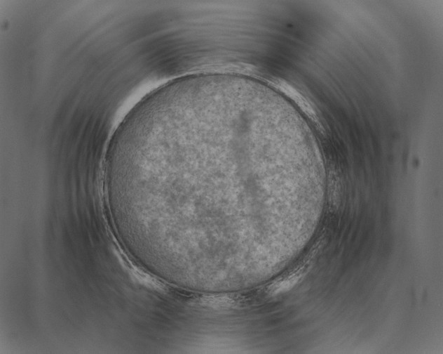 X0000087361094200705181145