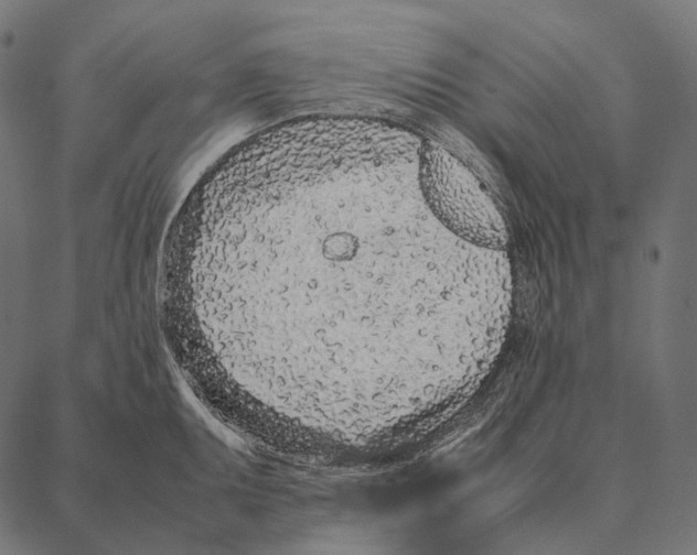 X0000087361095200705181145