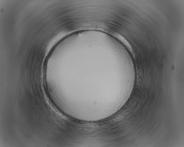 X0000087361096200705181145