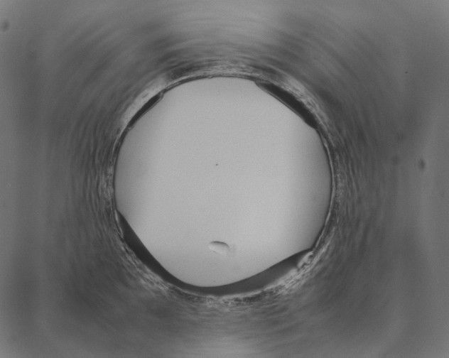 X0000087361097200705181145