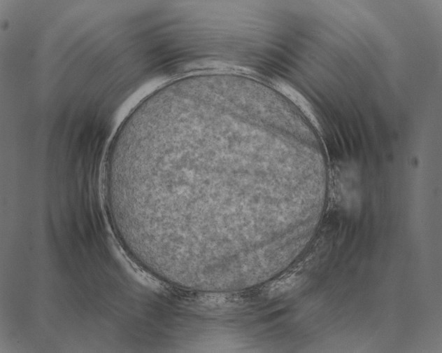 X0000087361098200705181145