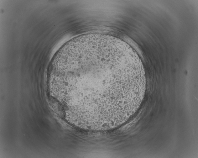 X0000087361099200705181145