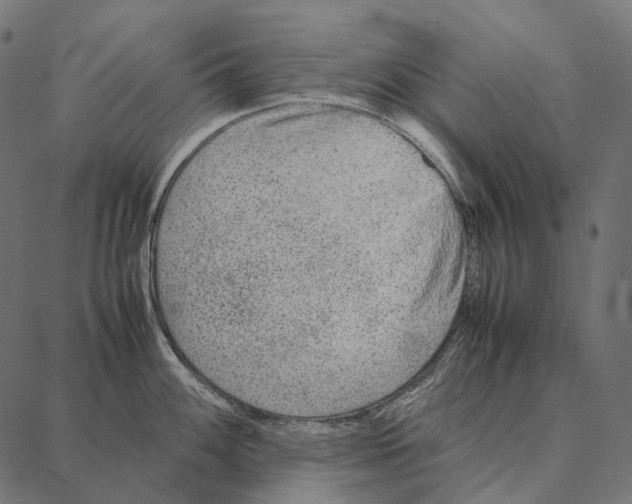 X0000087361100200705181145