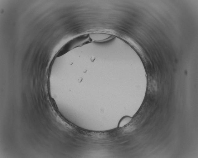 X0000087361102200705181145