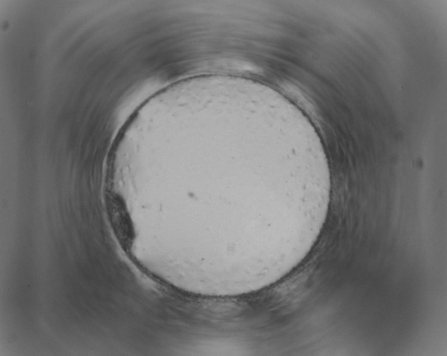 X0000087361103200705181145