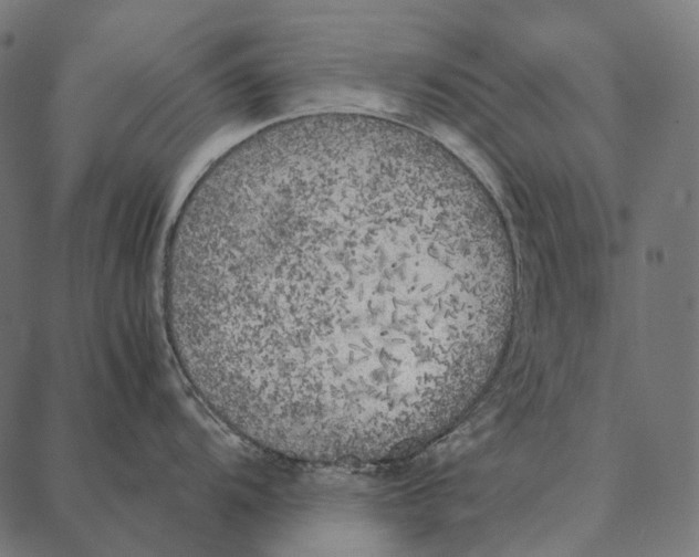 X0000087361104200705181145