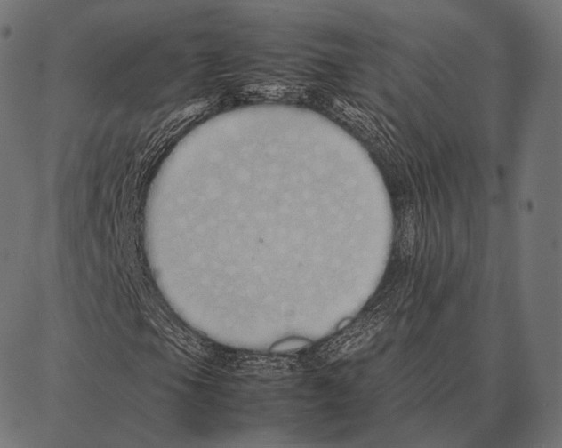 X0000087361105200705181144