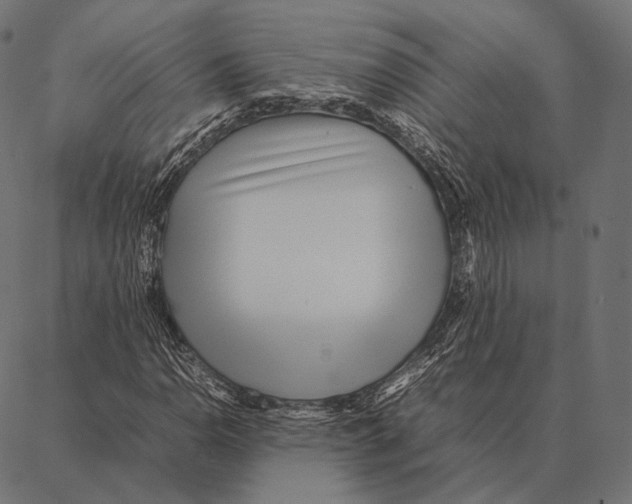 X0000087361110200705181144