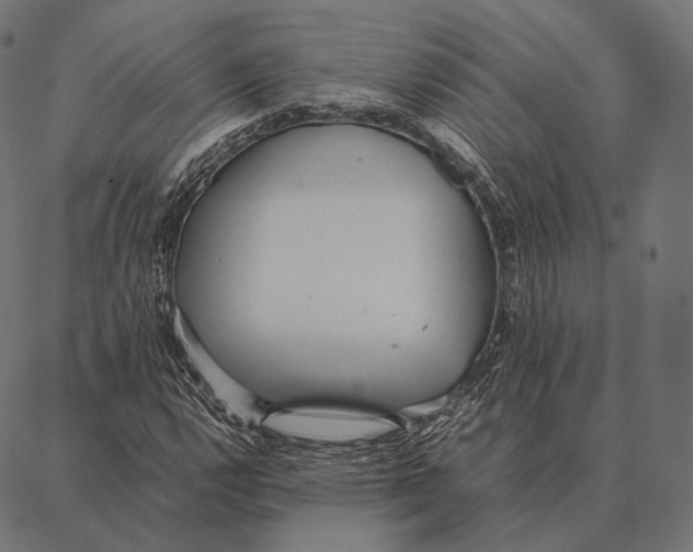 X0000087361112200705181144