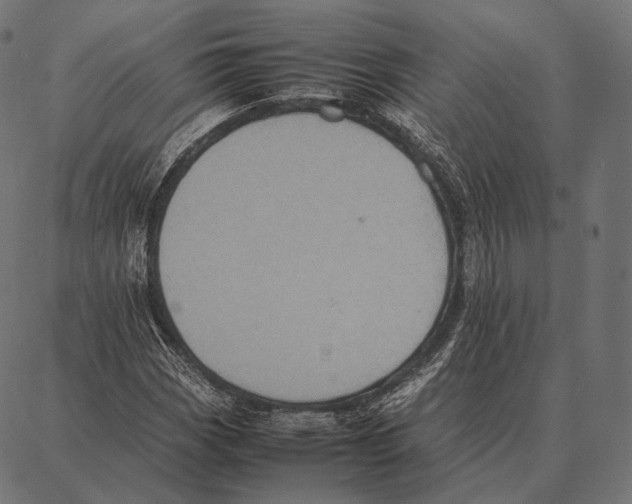 X0000087361113200705181144