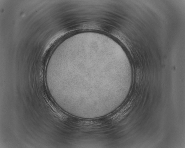 X0000087361115200705181144