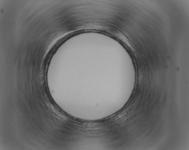 X0000087361116200705181144