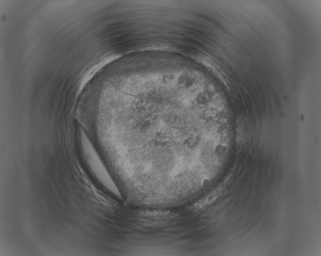 X0000087361117200705181144