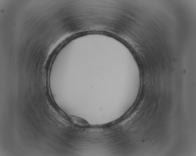 X0000087361118200705181144