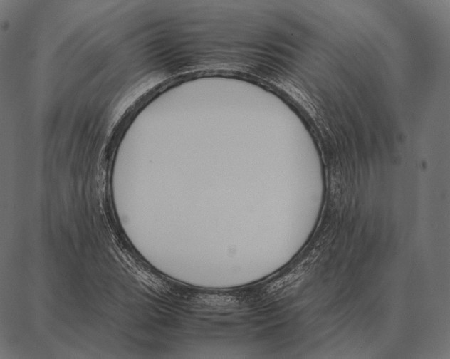 X0000087361119200705181144