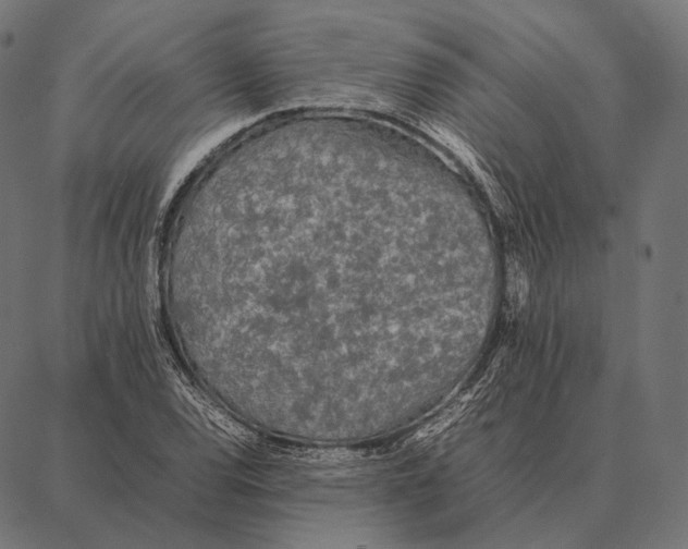 X0000087361120200705181145