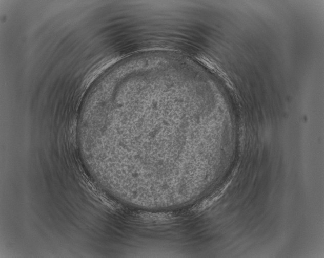 X0000087361121200705181145