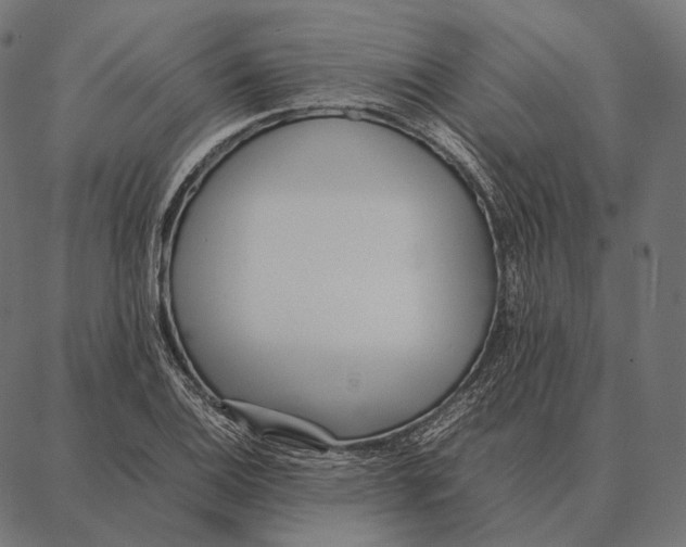 X0000087361124200705181145