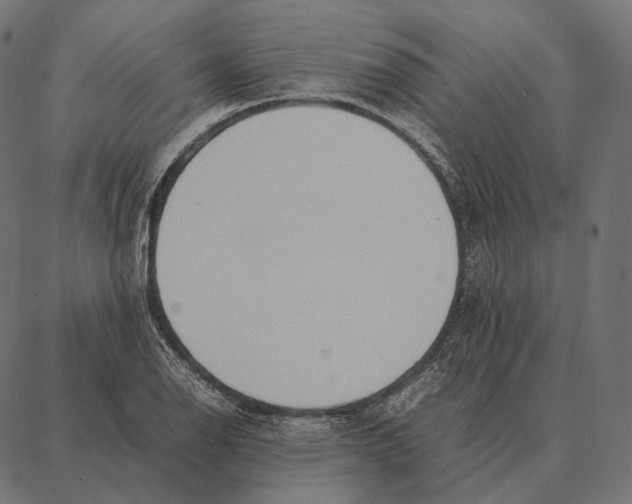 X0000087361126200705181145