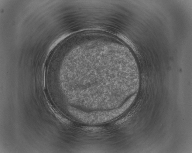 X0000087361127200705181145