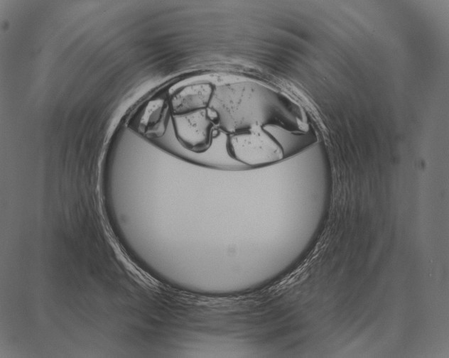 X0000087361128200705181145