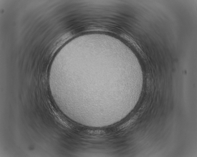 X0000087361129200705181145