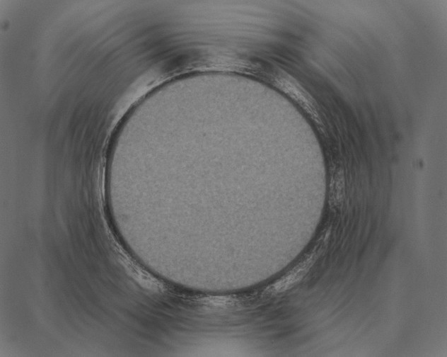 X0000087361130200705181145