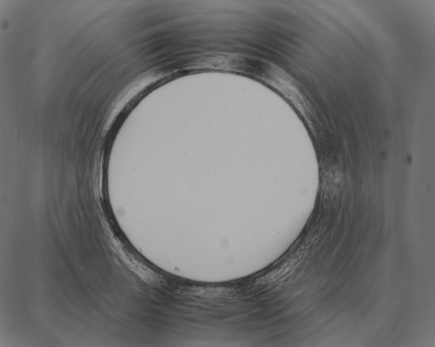 X0000087361131200705181145