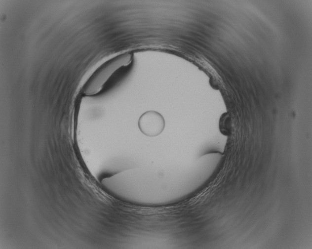 X0000087361132200705181145