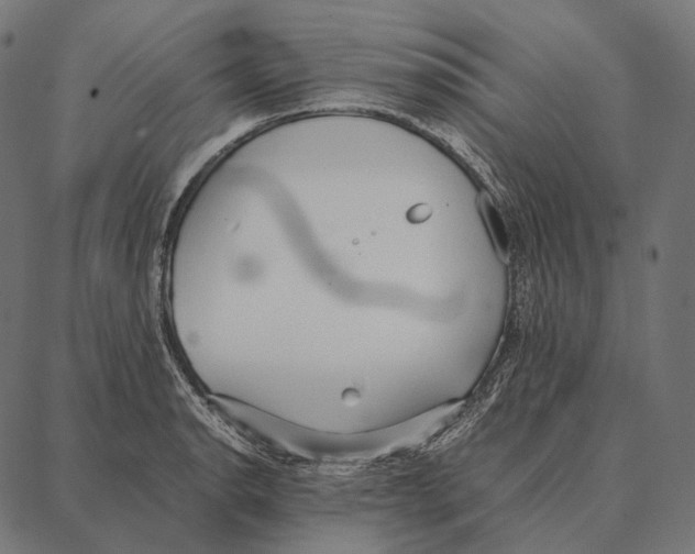 X0000087361134200705181145