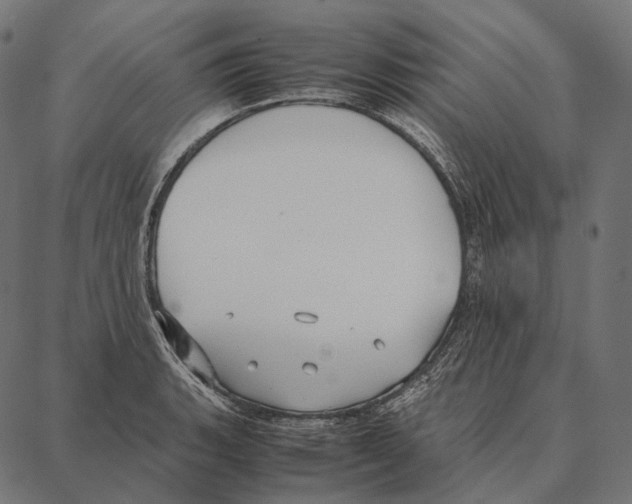 X0000087361135200705181145