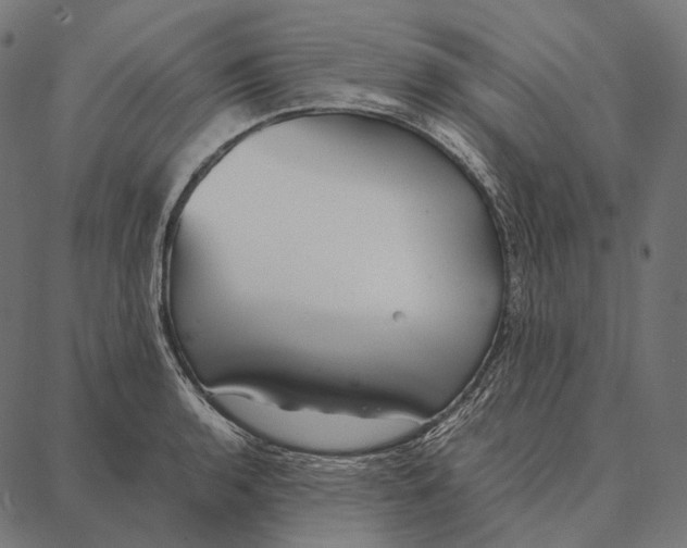 X0000087361136200705181145