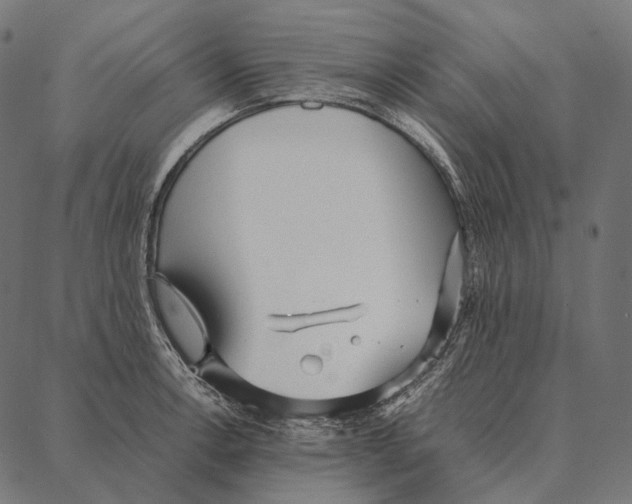 X0000087361138200705181145