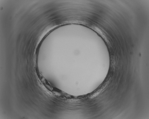 X0000087361140200705181145