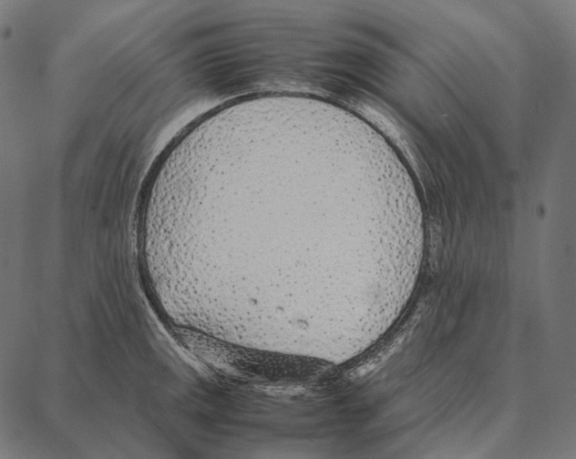 X0000087361141200705181145