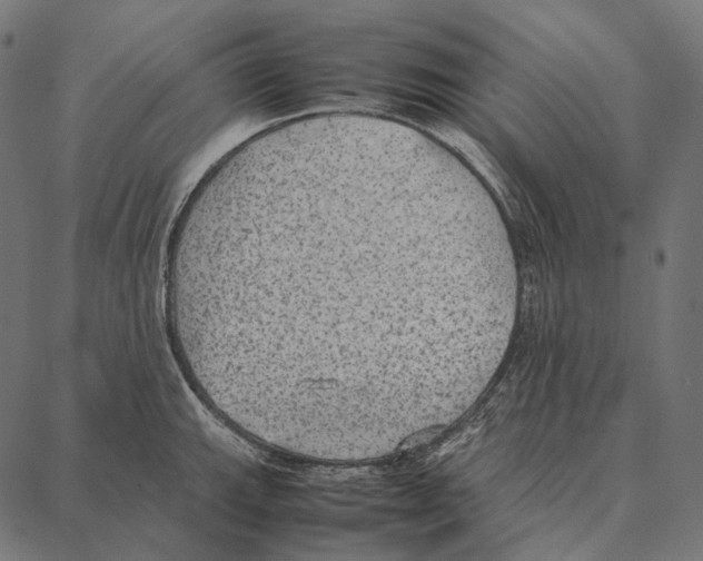 X0000087361143200705181145