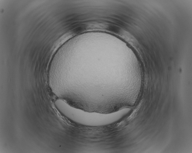 X0000087361145200705181145