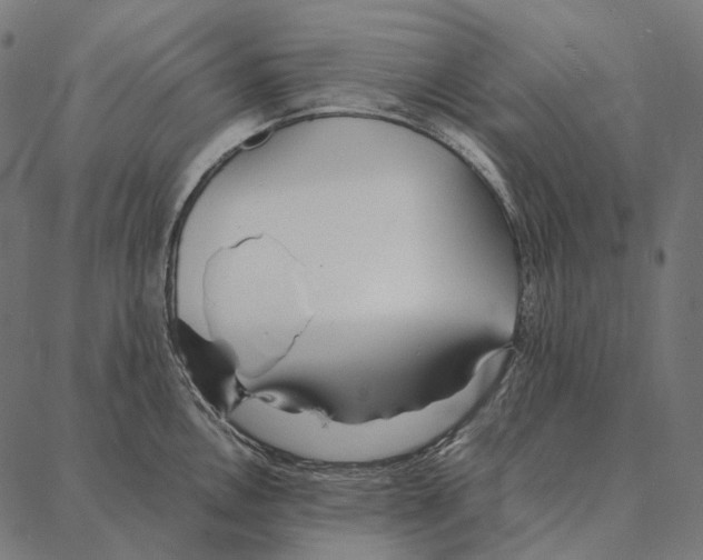 X0000087361146200705181145