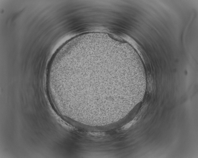 X0000087361147200705181145