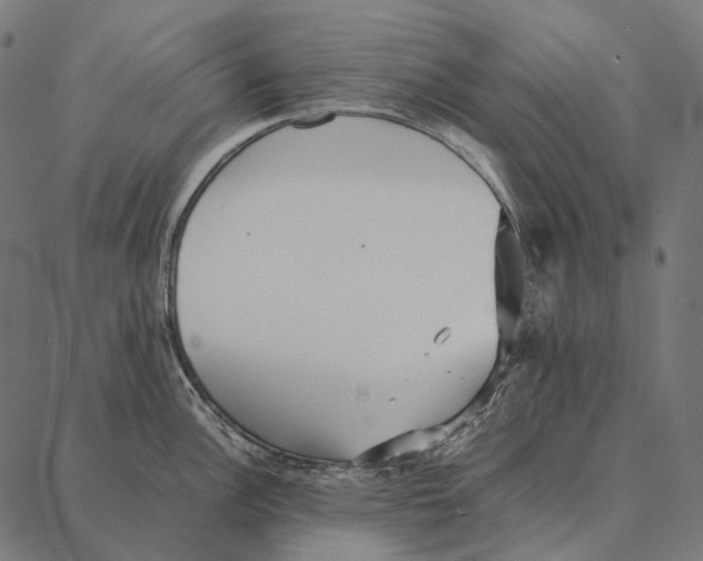 X0000087361148200705181145