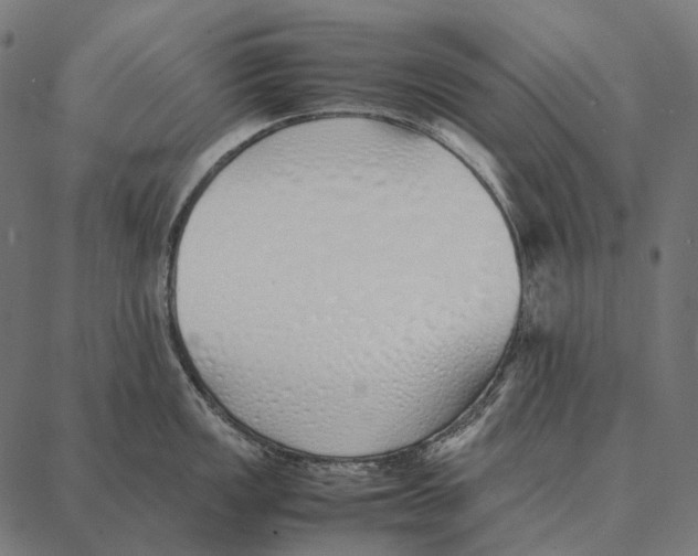 X0000087361149200705181145